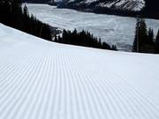 Präparierte Piste im Skigebiet Åre