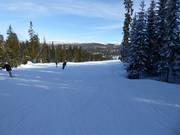 Piste Långbacken in Hundfjället