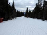 Leichte Piste Nr. 34