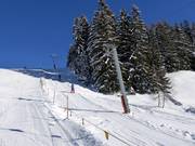 Kristberglift - Schlepplift mit T-Bügel/Anker