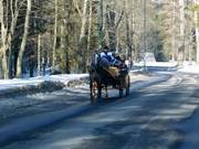 Man kann mit Kutschen zur Talstation fahren