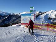 Informationstafel an der Hochmaisbahn