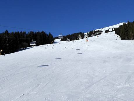 Pistenangebot Pillerseetal – Pistenangebot Saalbach Hinterglemm Leogang Fieberbrunn (Skicircus)
