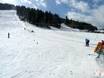 Skigebiete für Anfänger im Bezirk Kufstein – Anfänger Tirolina (Haltjochlift) – Hinterthiersee