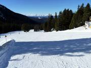 Leichte und breite Piste Toler in Obereggen