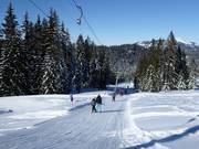 Kurvenlift - Schlepplift mit T-Bügel/Anker