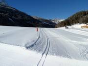 Loipe am Reschenpass