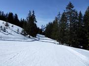 Leichte Verbindungspiste vom Hornberg nach Schönried