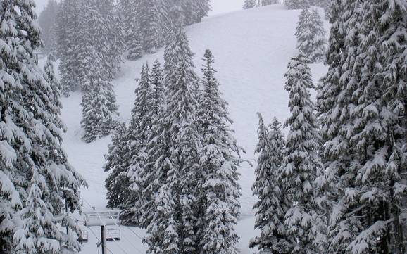 Bestes Skigebiet am Mount Hood – Testbericht Mt. Hood Meadows