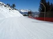 Streif-Familienabfahrt Nr. 21