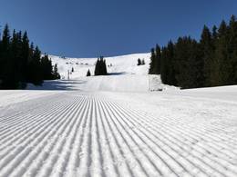 Vitosha/Aleko – Sofia