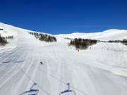 Zahlreiche Abfahrten führen wieder zum Myrkdalsekspressen