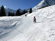 Flaxi's Ski Cross Strecke