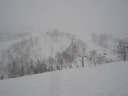 Mitsumata/Kagura/Tashiro (Mt. Naeba)