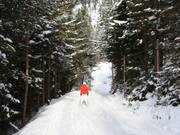 Talabfahrt - Ziehweg ab der Talstation der Mauritz-Doppelsesselbahn