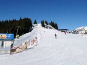 Übungslifte am Berg am Hornspitz