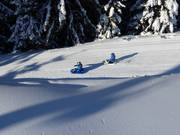 Tipp für die Kleinen  - Rodelbahn "Bärenritt"