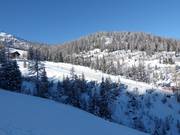 Blick auf die leichte Piste am Tellerlift