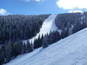 Schwere Piste Nr. 19c Gvozdec