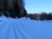 Langlaufzentrum Falzeben