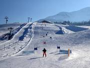 Rennstrecke am Tannlift