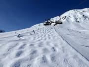 Buckelpiste Plansegg