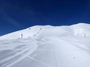 Schwere Piste Dynamic (Grand Hirafu)