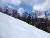 Skigebiete für Könner und Freeriding Hokkaidō – Könner, Freerider Furano