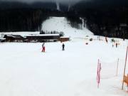 Leichte Piste am Krallerhoflift in Leogang