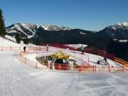 Tipp für die Kleinen  - Triassic Funline Steinplatte