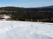 Parallel-Riesenslalom für Kids mit Doppelzeitmessung