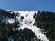 Buckelpisten Pallavicini