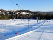 Patyczak Nartorama I (N3) - Tellerlift