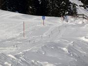 Babylift Kreuzkapelle - Seillift/Babylift mit niederer Seilführung