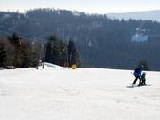 Ideal für Anfänger: Obere Postwiese