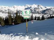 Wald Wild Schongebiete