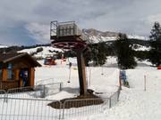 Baby Pedraces - Tellerlift