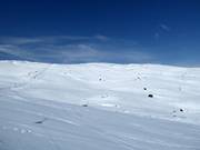 Freeridebereich zwischen Vinkelliften und Nordalsliften