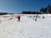 Anfängergelände im ArBär Kinderland