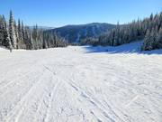 Breite und leichte Piste Smile