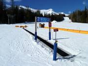 Förderband und Kinderareal Mini Moose