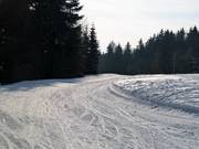 Loipe an der Bleamlalm