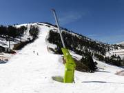 Umfassende Beschneiung in Pal-Arinsal