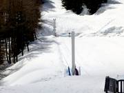 Gaudissart - Seillift/Babylift mit niederer Seilführung