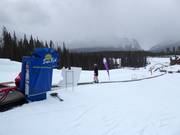 Sunny Side 3 - Förderband/Zauberteppich