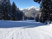 Leichte Sattelabfahrt