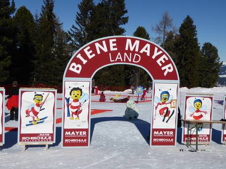 Biene Mayer Land der Skischule Kreischberg