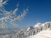 Bergstation Brauneck
