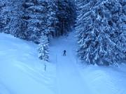 Loipe in der Lenzerheide