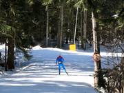Loipe in Borovets